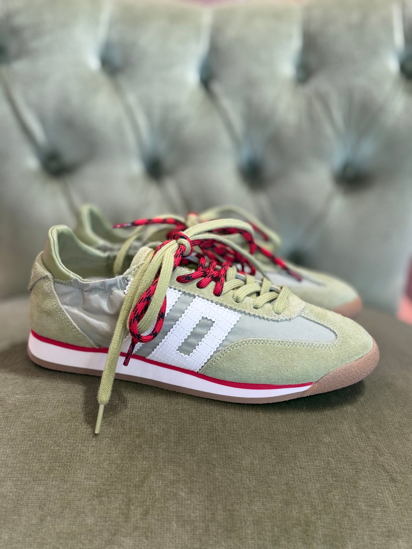 Back 70 OLIVA ROCKET COTTON