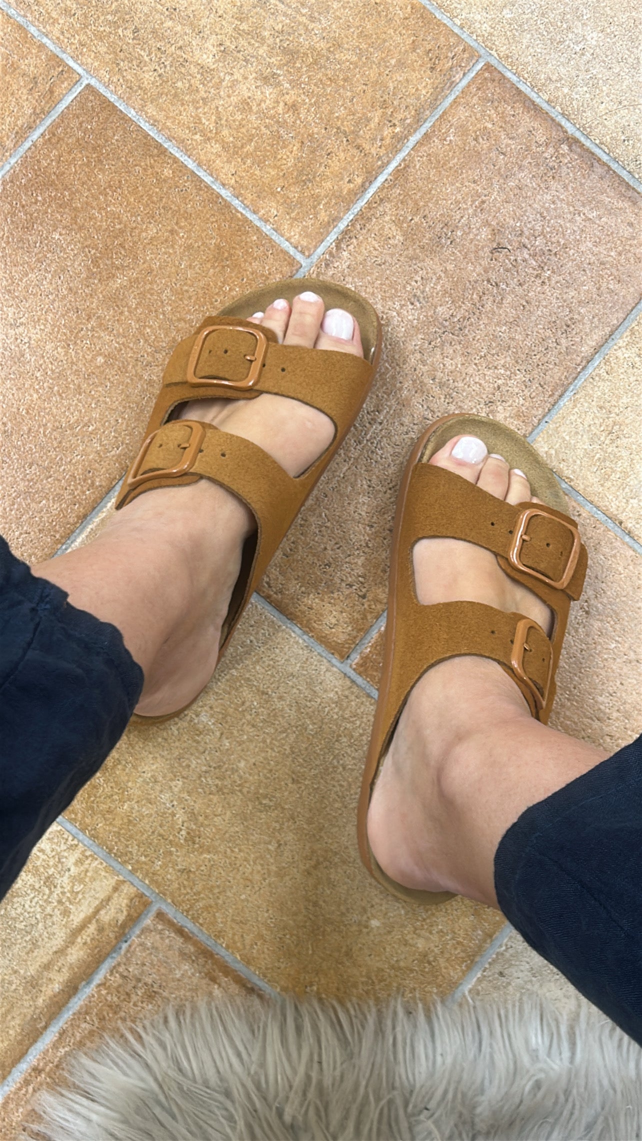 Scholl NOELLE CHUNCKY COGNAC SUEDE