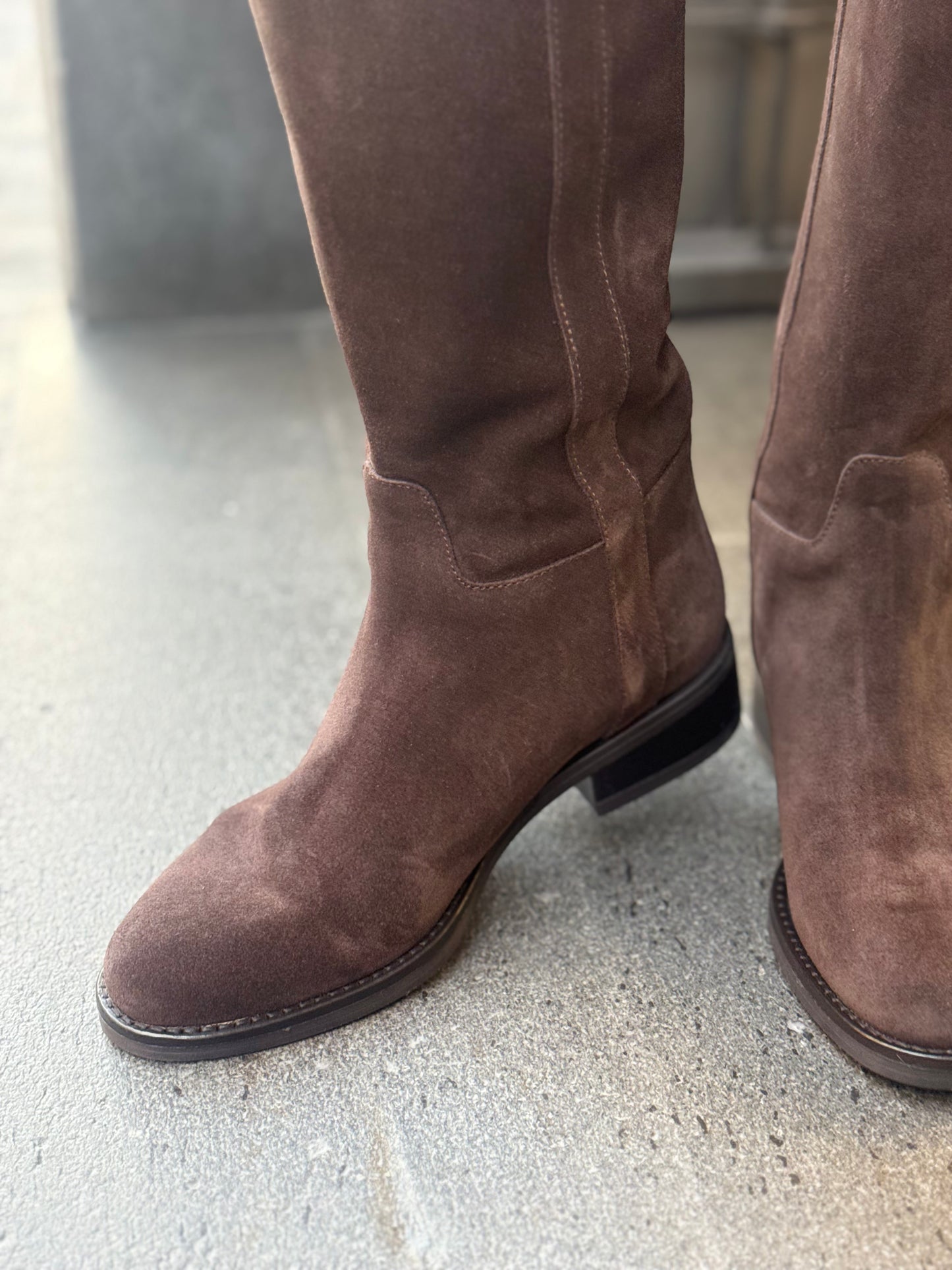 Elisa lanci Stivale tubolare scamosciato MORO