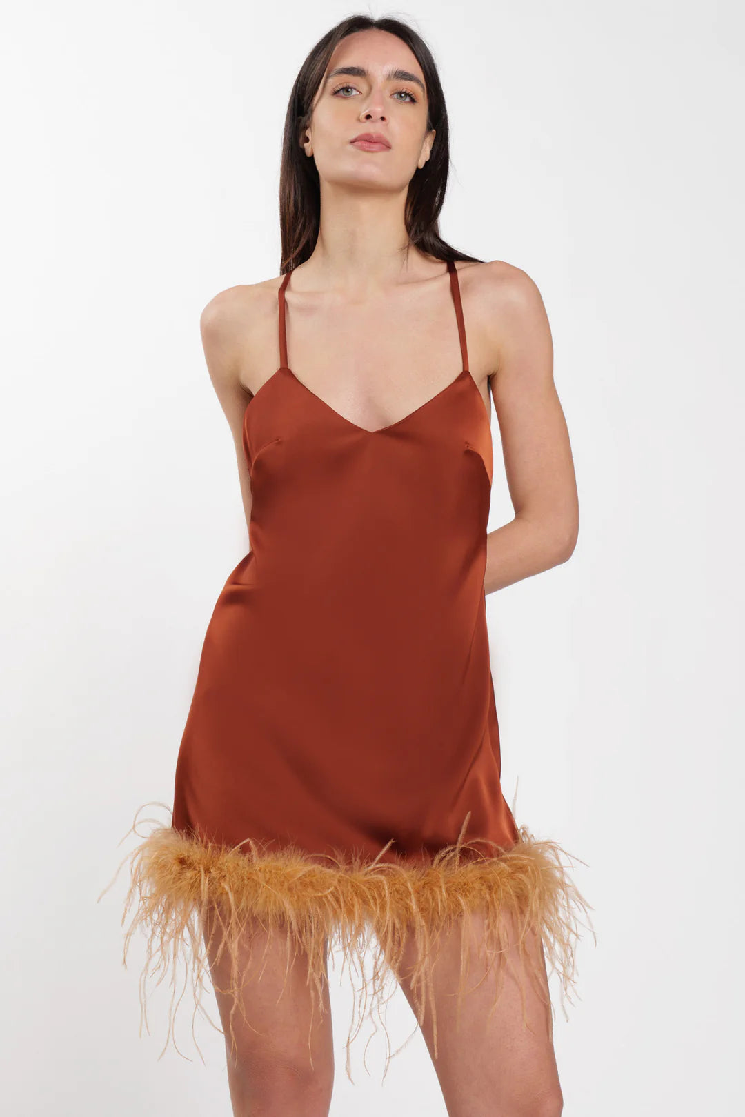 Silence Limited Plume dress