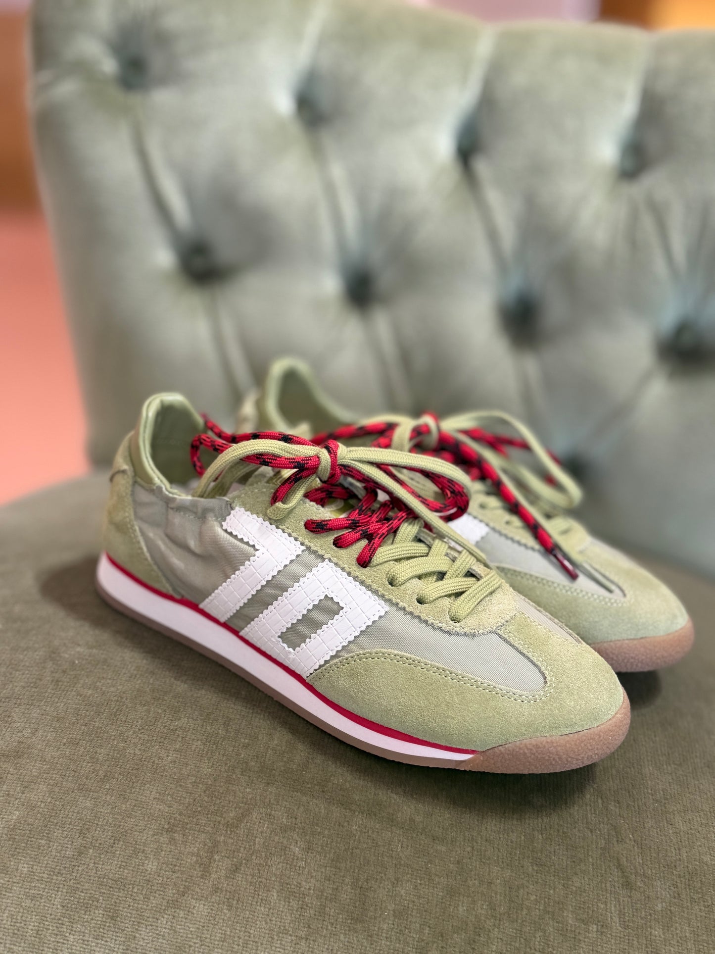 Back 70 OLIVA ROCKET COTTON